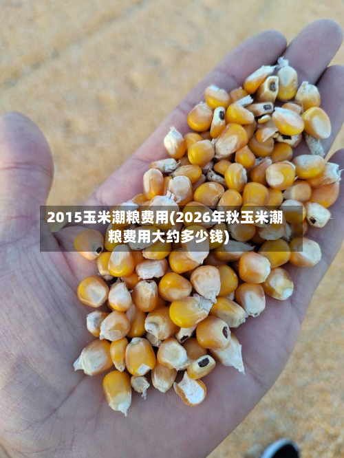 2015玉米潮粮费用(2026年秋玉米潮粮费用大约多少钱)