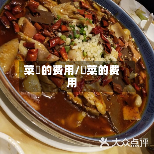 菜粨的费用/簕菜的费用