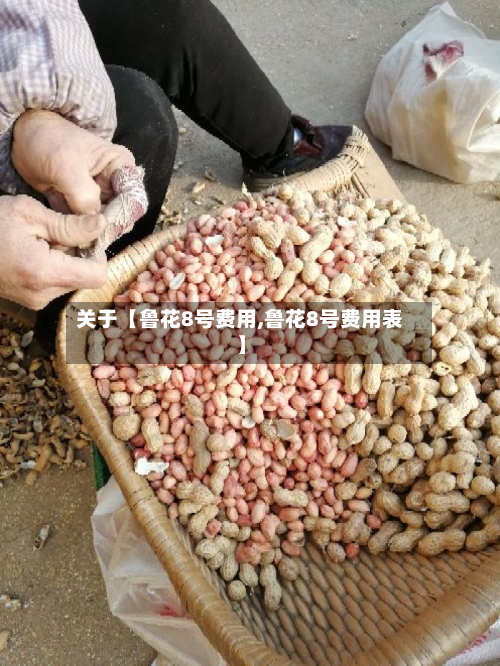 关于【鲁花8号费用,鲁花8号费用表】