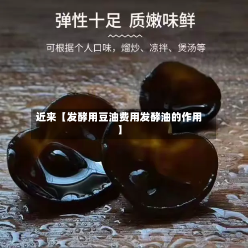 近来【发酵用豆油费用发酵油的作用】