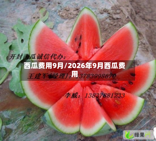 西瓜费用9月/2026年9月西瓜费用-第1张图片