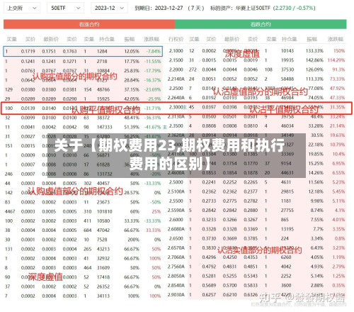关于【期权费用23,期权费用和执行费用的区别】