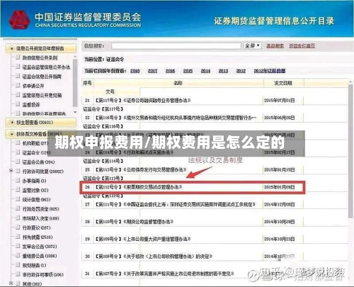 期权申报费用/期权费用是怎么定的