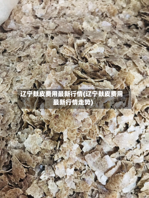 辽宁麸皮费用最新行情(辽宁麸皮费用最新行情走势)