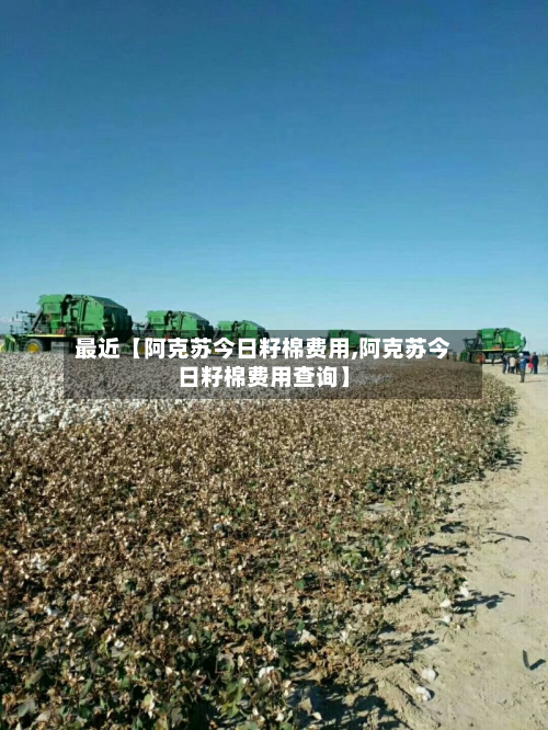 最近【阿克苏今日籽棉费用,阿克苏今日籽棉费用查询】-第1张图片