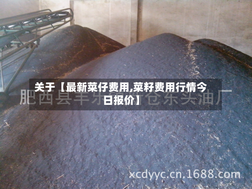 关于【最新菜仔费用,菜籽费用行情今日报价】