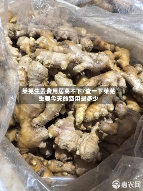 莱芜生姜费用居高不下/查一下莱芜生姜今天的费用是多少-第1张图片