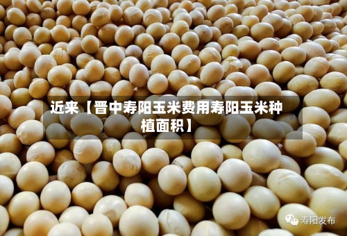 近来【晋中寿阳玉米费用寿阳玉米种植面积】