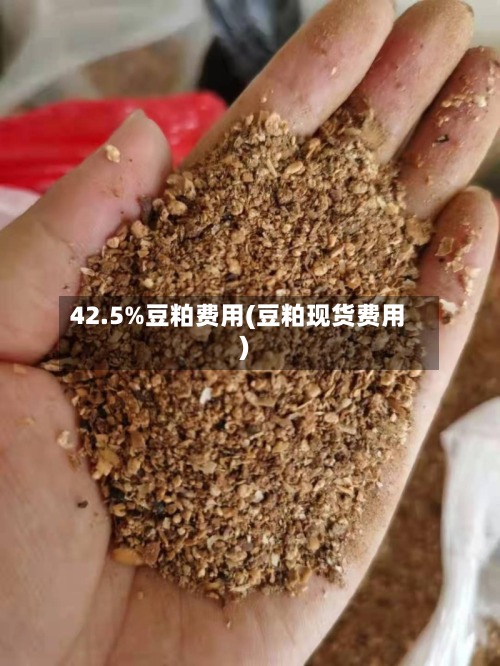 42.5%豆粕费用(豆粕现货费用)