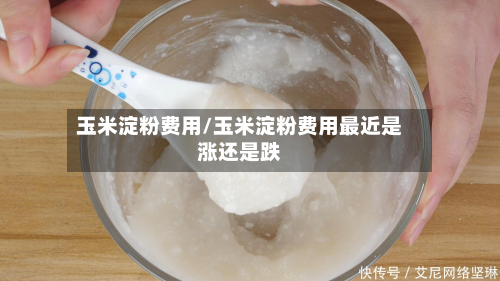 玉米淀粉费用/玉米淀粉费用最近是涨还是跌