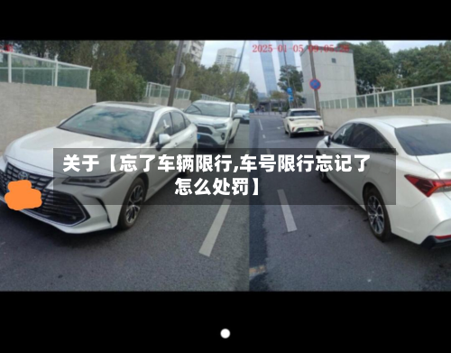 关于【忘了车辆限行,车号限行忘记了怎么处罚】