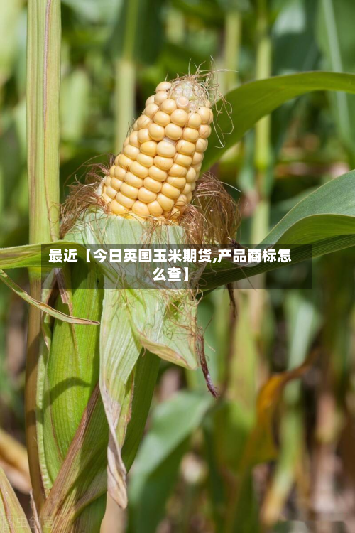 最近【今日英国玉米期货,产品商标怎么查】