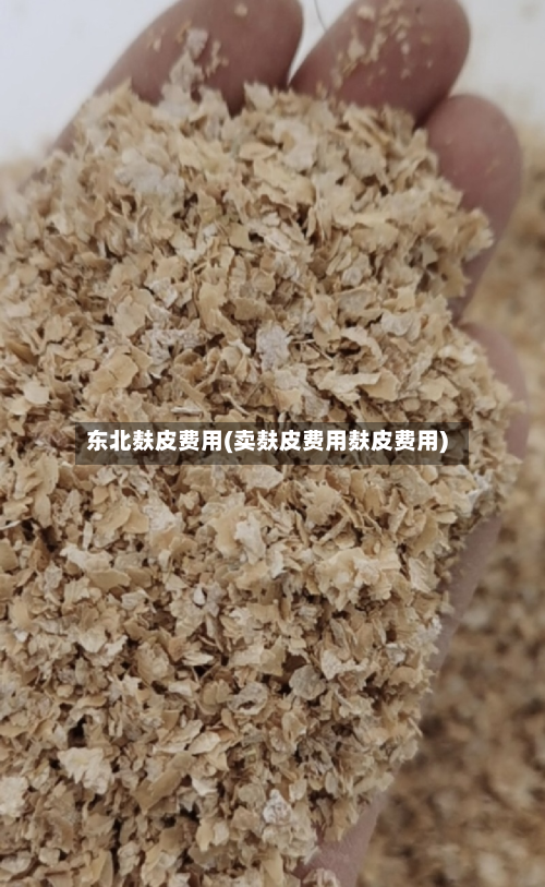 东北麸皮费用(卖麸皮费用麸皮费用)