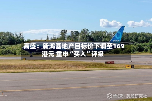 高盛：新鸿基地产目标价下调至169港元 重申“买入	”评级-第1张图片