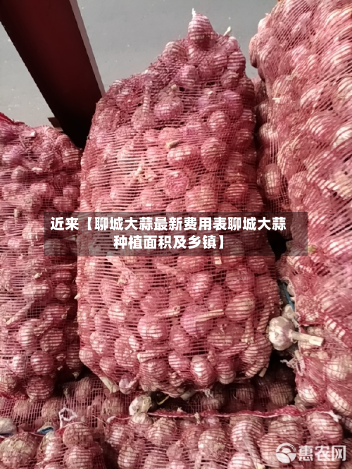 近来【聊城大蒜最新费用表聊城大蒜种植面积及乡镇】-第1张图片