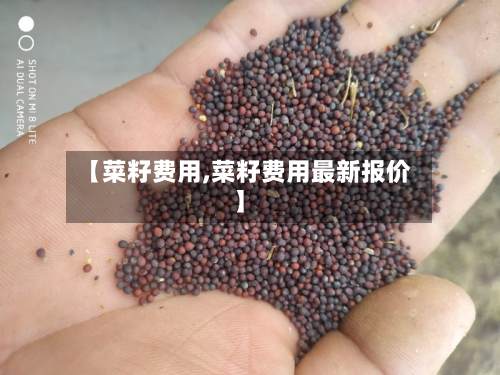 【菜籽费用,菜籽费用最新报价】