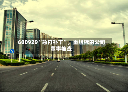 600929“急打补丁”，重组标的公司董事被查