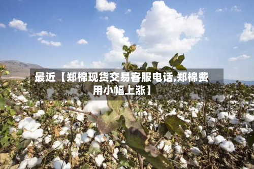 最近【郑棉现货交易客服电话,郑棉费用小幅上涨】