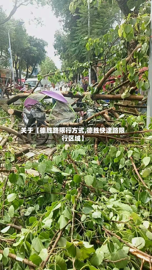 关于【德胜路限行方式,德胜快速路限行区域】