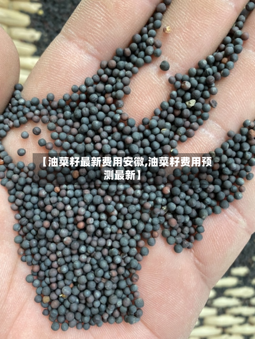 【油菜籽最新费用安徽,油菜籽费用预测最新】