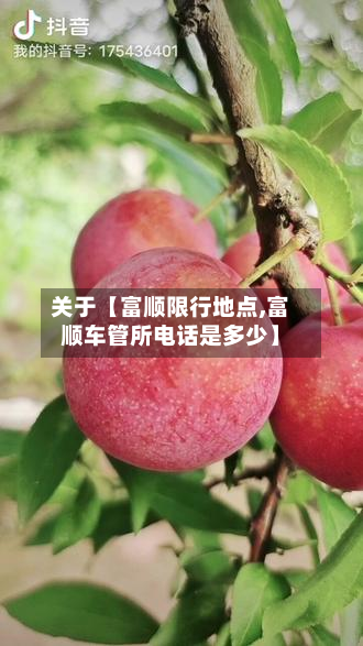 关于【富顺限行地点,富顺车管所电话是多少】