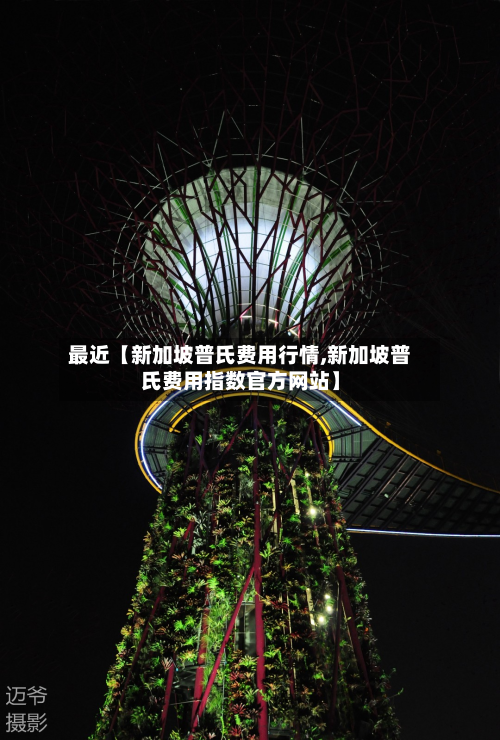 最近【新加坡普氏费用行情,新加坡普氏费用指数官方网站】