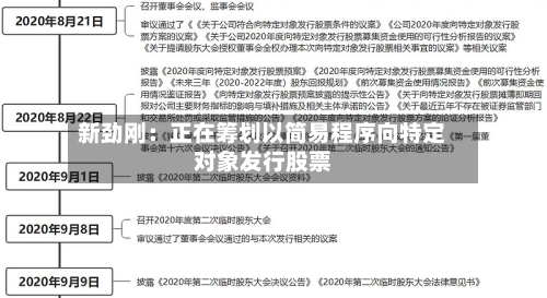 新劲刚：正在筹划以简易程序向特定对象发行股票