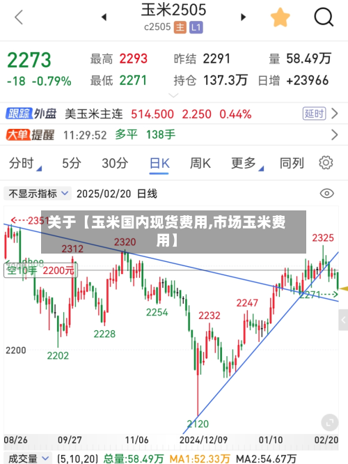 关于【玉米国内现货费用,市场玉米费用】
