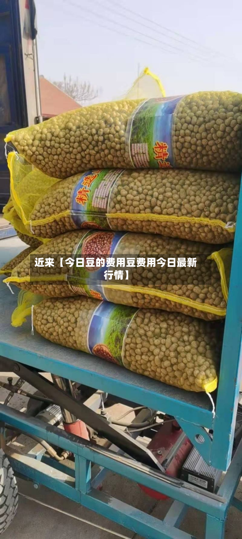 近来【今日豆的费用豆费用今日最新行情】