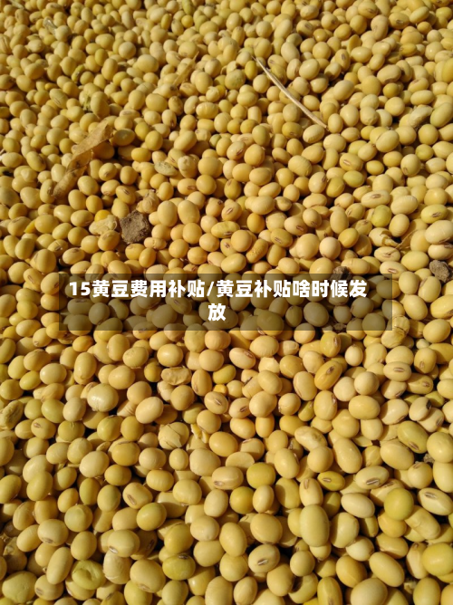 15黄豆费用补贴/黄豆补贴啥时候发放