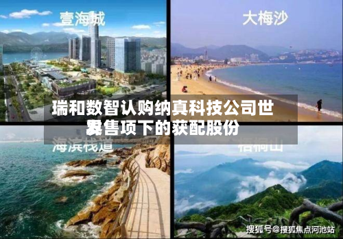 瑞和数智认购纳真科技公司世界发售项下的获配股份-第1张图片