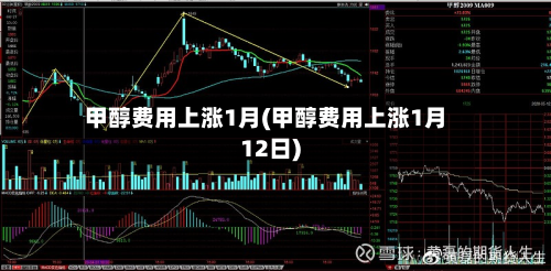 甲醇费用上涨1月(甲醇费用上涨1月12日)