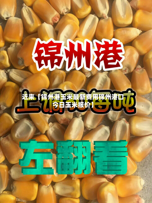 近来【锦州港玉米最新费用锦州港口今日玉米报价】