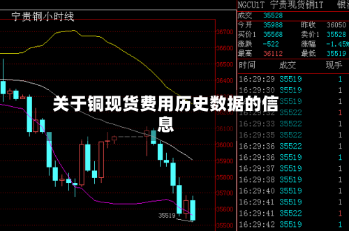 关于铜现货费用历史数据的信息