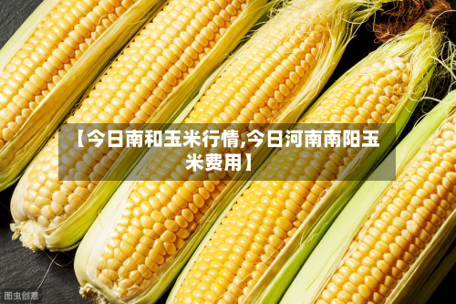 【今日南和玉米行情,今日河南南阳玉米费用】