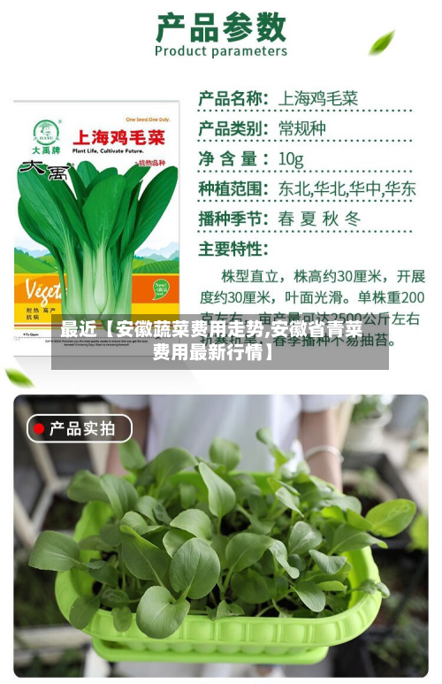 最近【安徽蔬菜费用走势,安徽省青菜费用最新行情】