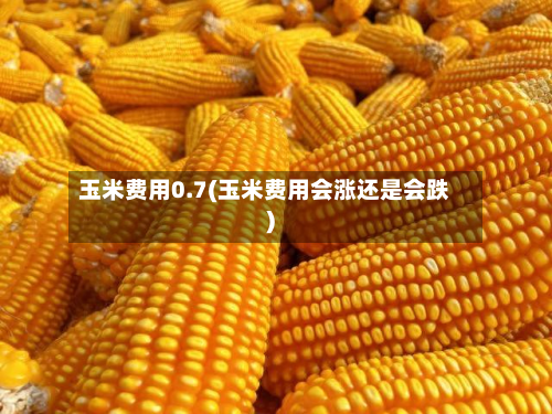 玉米费用0.7(玉米费用会涨还是会跌)