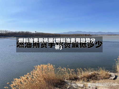 燃料油费用依据(燃料油费用趋势分析)