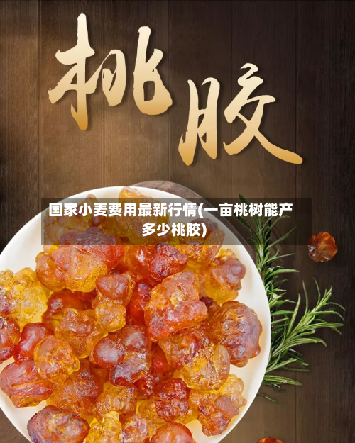 国家小麦费用最新行情(一亩桃树能产多少桃胶)