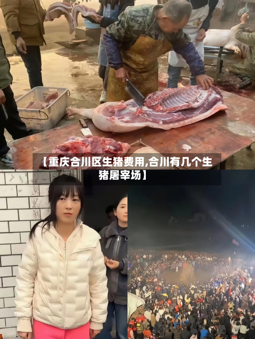 【重庆合川区生猪费用,合川有几个生猪屠宰场】