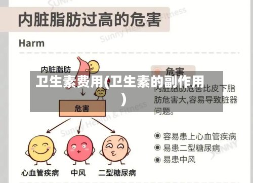 卫生素费用(卫生素的副作用)