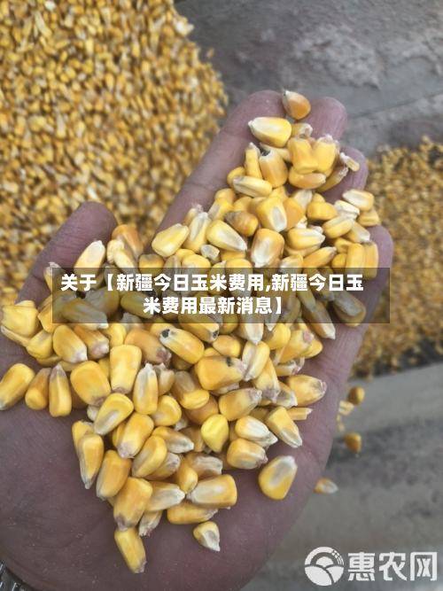 关于【新疆今日玉米费用,新疆今日玉米费用最新消息】