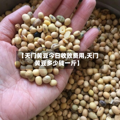 【天门黄豆今日收败费用,天门黄豆多少钱一斤】
