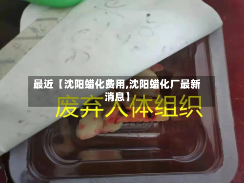 最近【沈阳蜡化费用,沈阳蜡化厂最新消息】