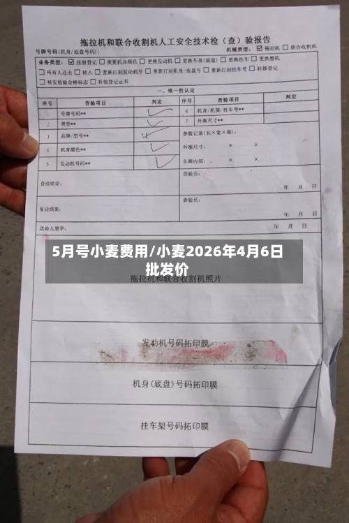 5月号小麦费用/小麦2026年4月6日批发价