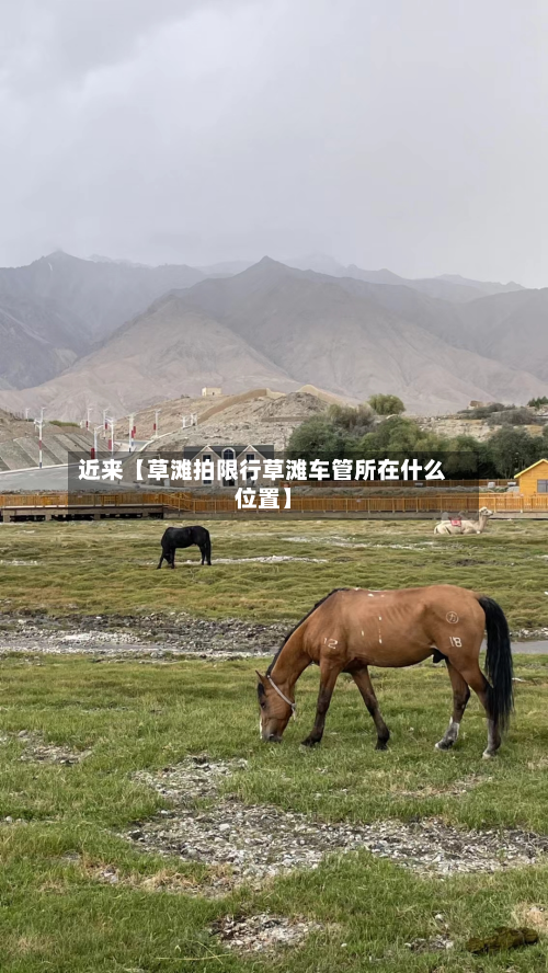 近来【草滩拍限行草滩车管所在什么位置】