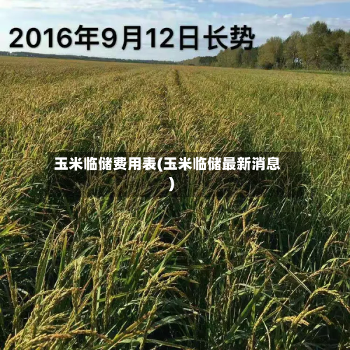 玉米临储费用表(玉米临储最新消息)