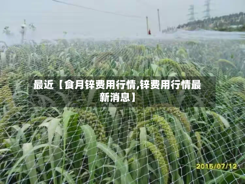 最近【食月锌费用行情,锌费用行情最新消息】