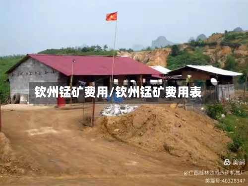钦州锰矿费用/钦州锰矿费用表