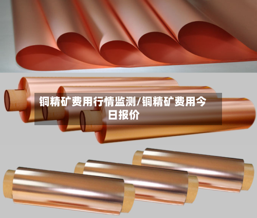 铜精矿费用行情监测/铜精矿费用今日报价